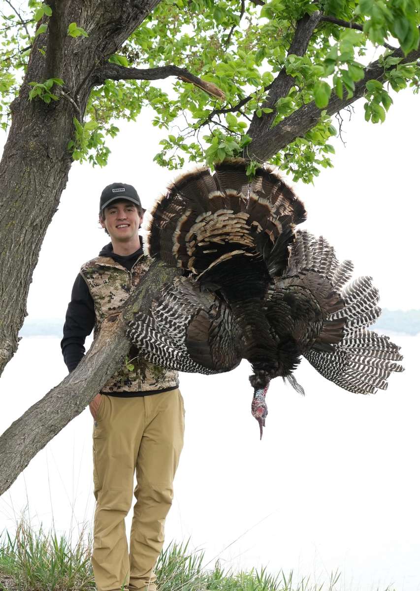 Need help with that bird? Nebraska Extension offers turkey tips